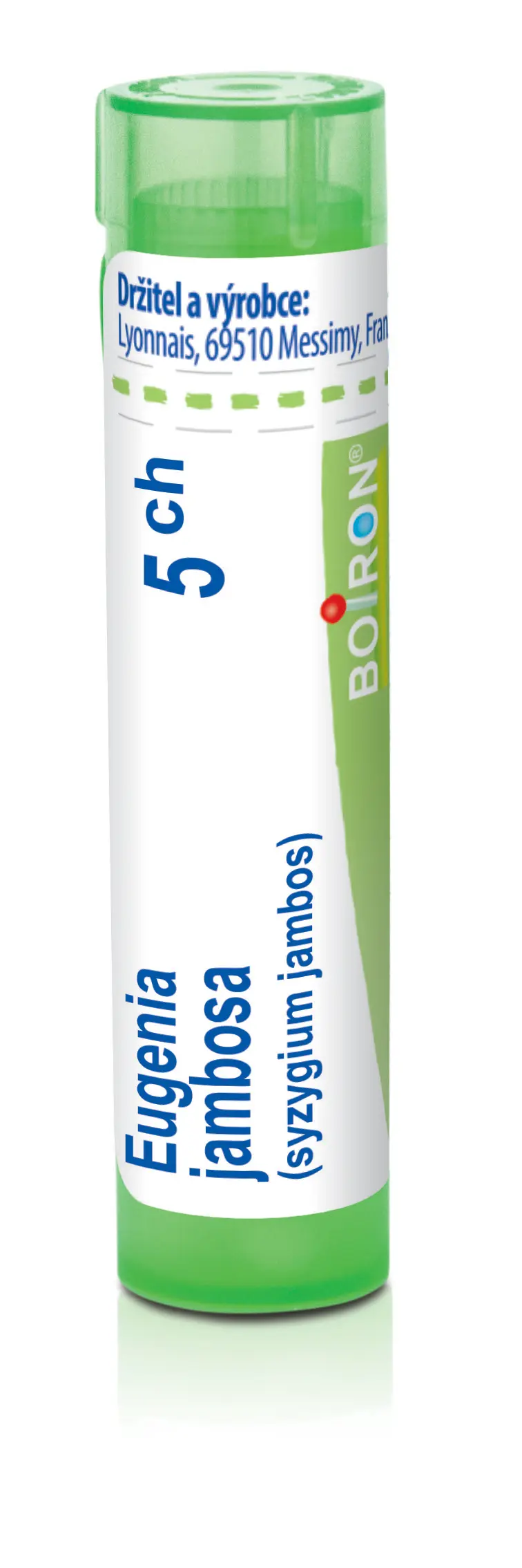 5160_EUGENIA JAMBOSA 5